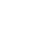 Dirty Reiver Logo